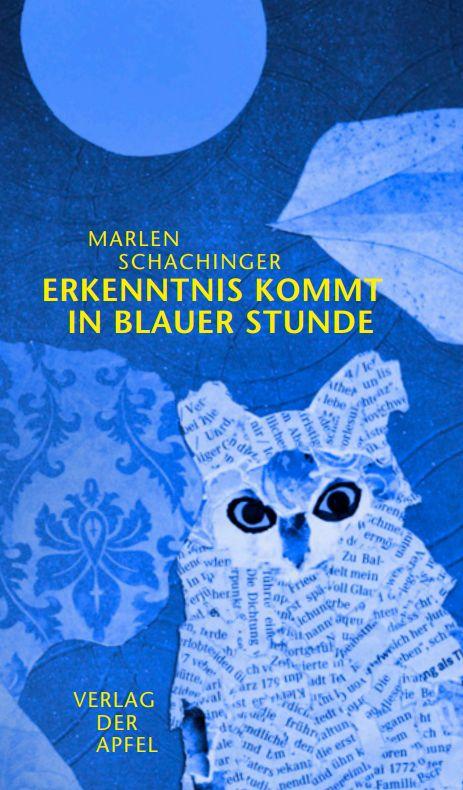 Cover-Bild Erkenntnis kommt in blauer Stunde