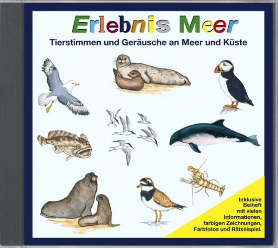 Cover-Bild Erlebnis Meer