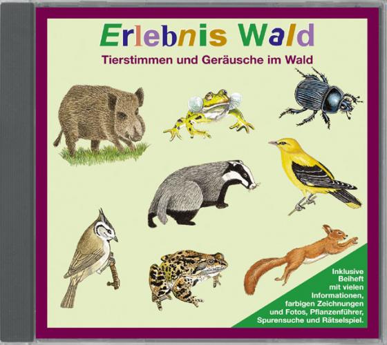 Cover-Bild Erlebnis Wald