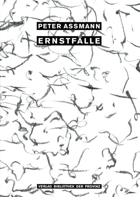 Cover-Bild Ernstfälle