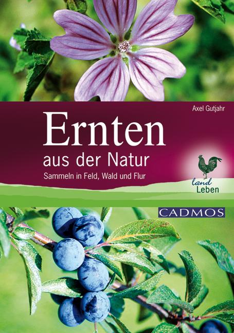 Cover-Bild Ernten aus der Natur