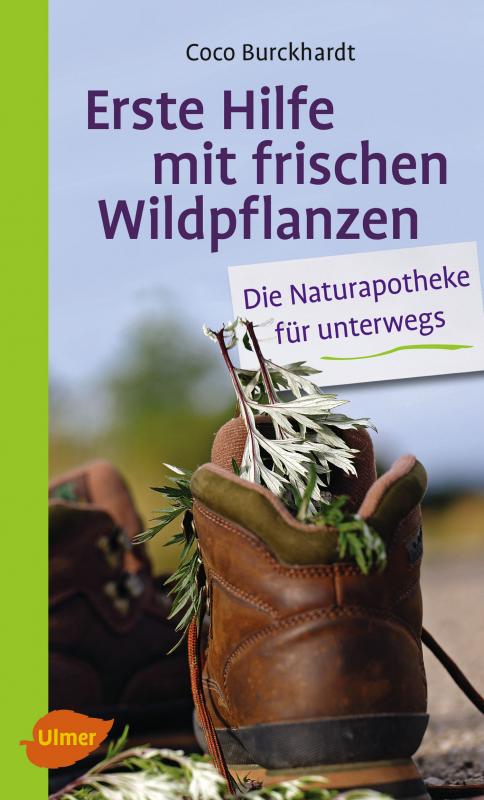 Cover-Bild Erste Hilfe mit frischen Wildpflanzen