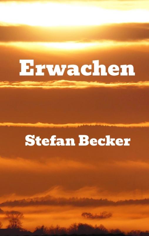 Cover-Bild Erwachen