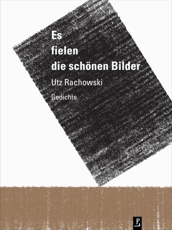 Cover-Bild Es fielen die schönen Bilder