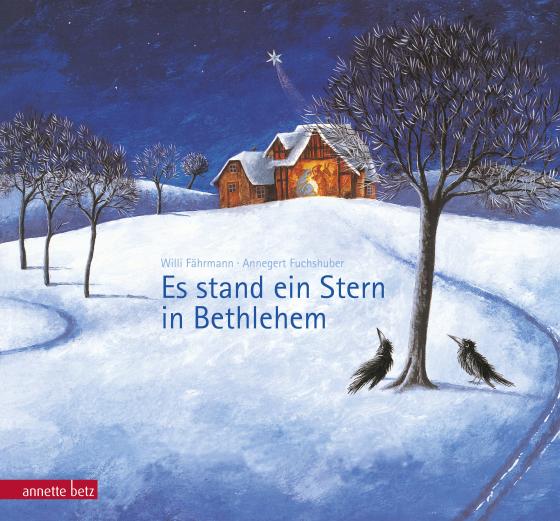 Cover-Bild Es stand ein Stern in Bethlehem
