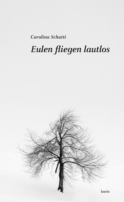 Cover-Bild Eulen fliegen lautlos