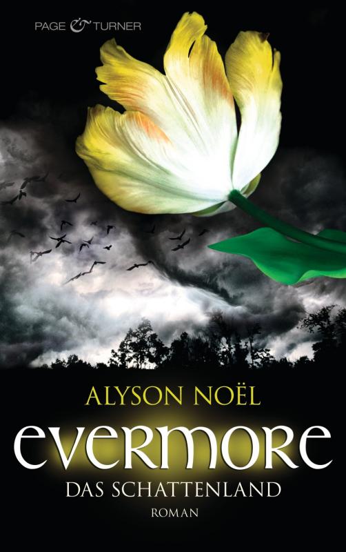 Cover-Bild Evermore - Das Schattenland