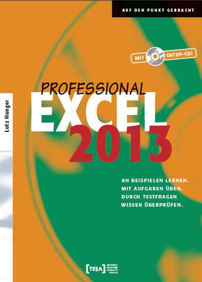 Cover-Bild Excel 2013 Professional