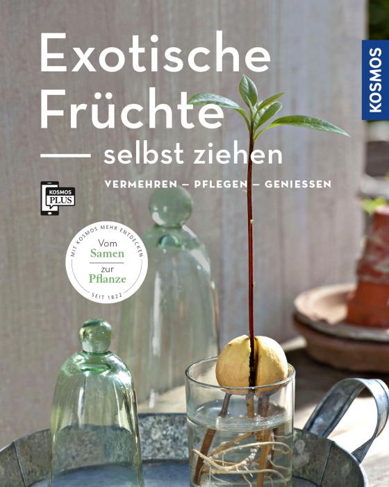 Cover-Bild Exotische Früchte selbst ziehen (Mein Garten)