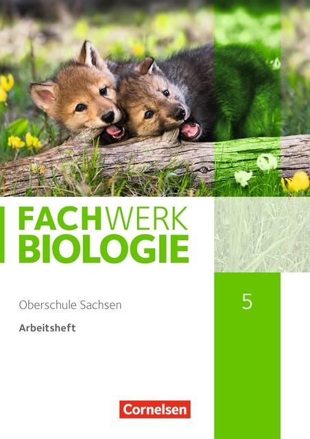Cover-Bild Fachwerk Biologie - Sachsen / 5. Schuljahr - Arbeitsheft