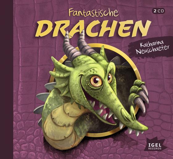 Cover-Bild Fantastische Drachen