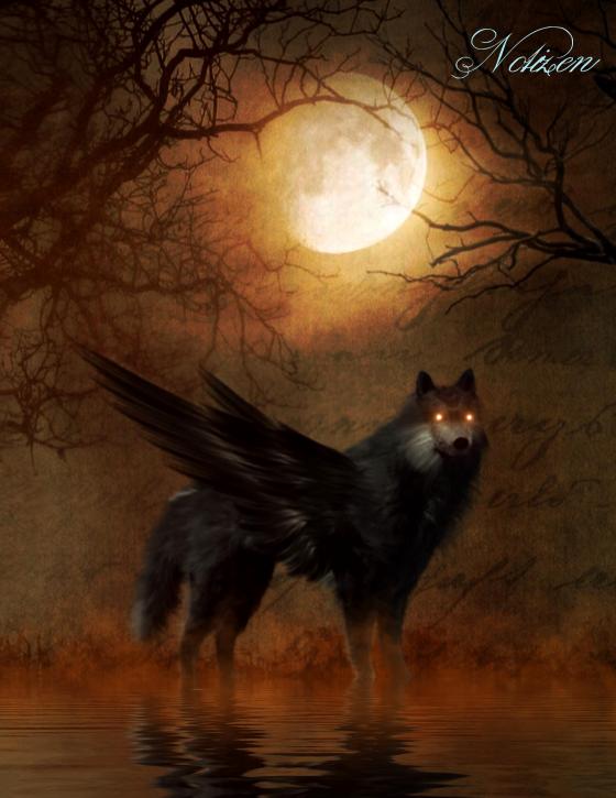 Cover-Bild Fantasy Notizbuch: Schattenwolf - weiße Seiten mit Eckmotiv