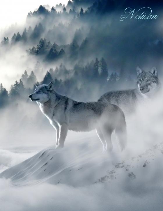 Cover-Bild Fantasy Notizbuch: Wölfe im Nebel - weiße Seiten mit Eckmotiv