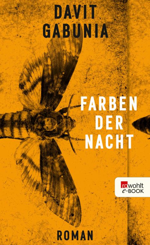 Cover-Bild Farben der Nacht