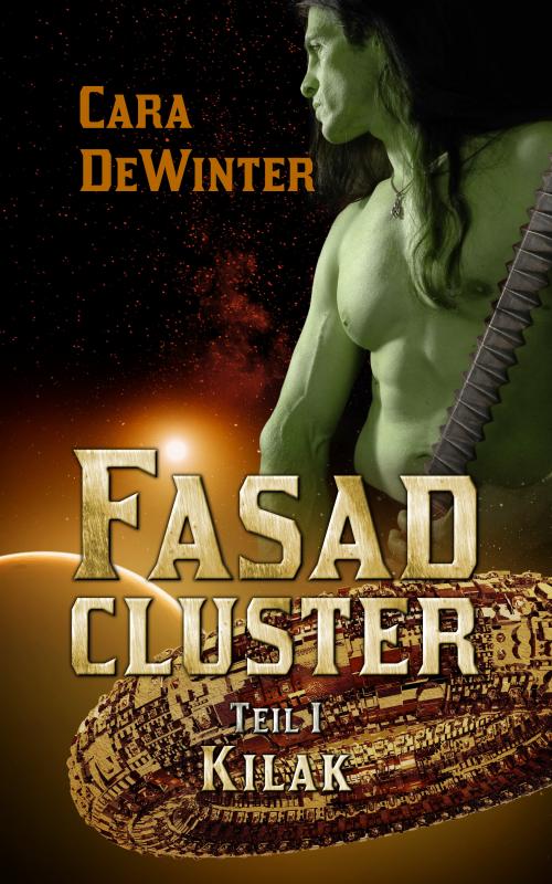 Cover-Bild Fasad Cluster