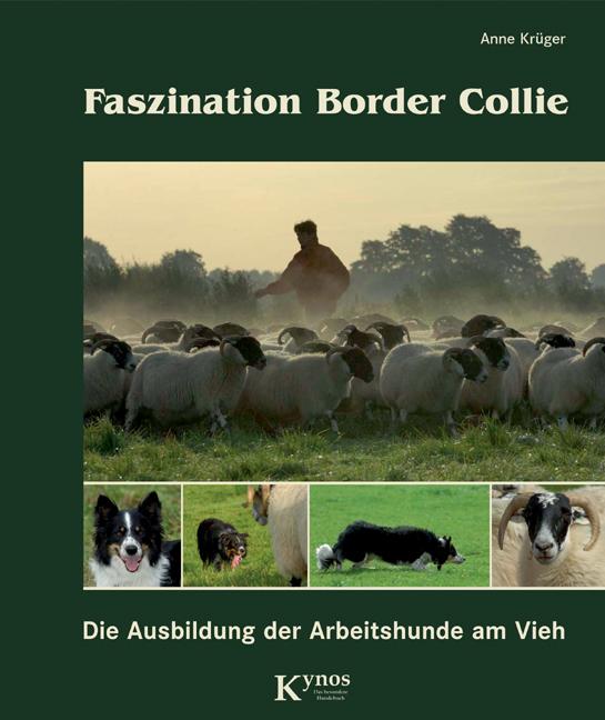 Cover-Bild Faszination Border Collie