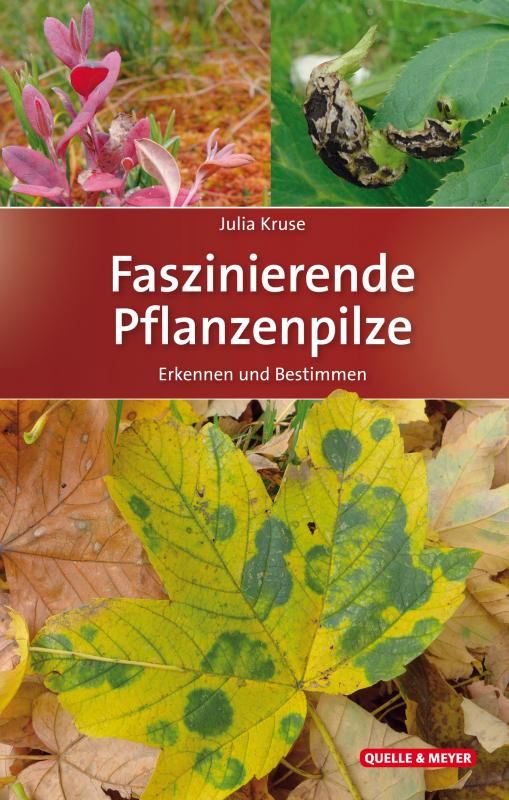 Cover-Bild Faszinierende Pflanzenpilze