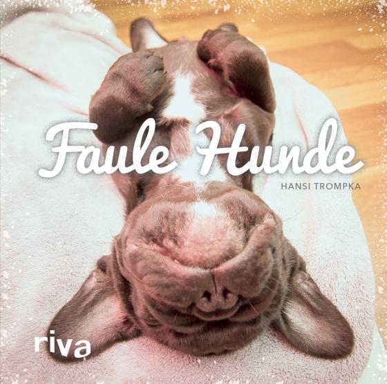 Cover-Bild Faule Hunde