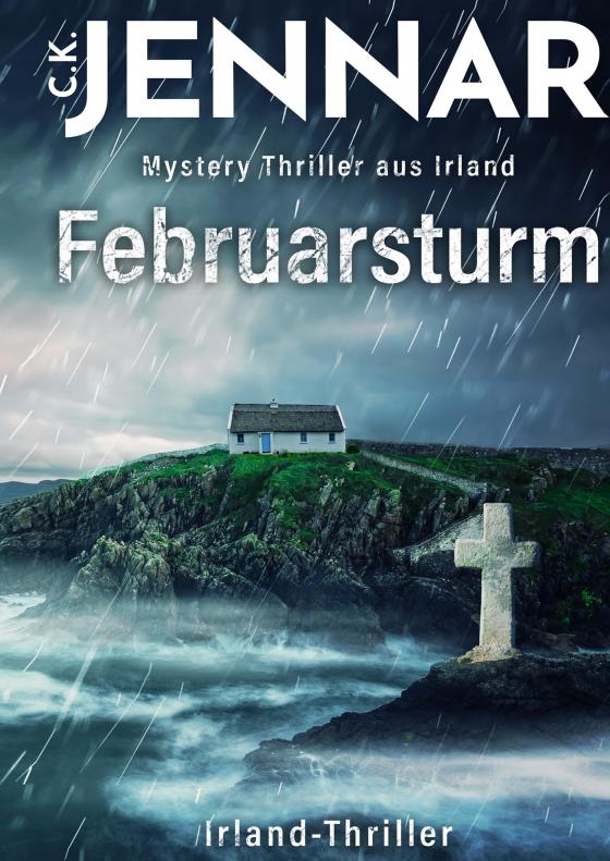 Cover-Bild Februarsturm