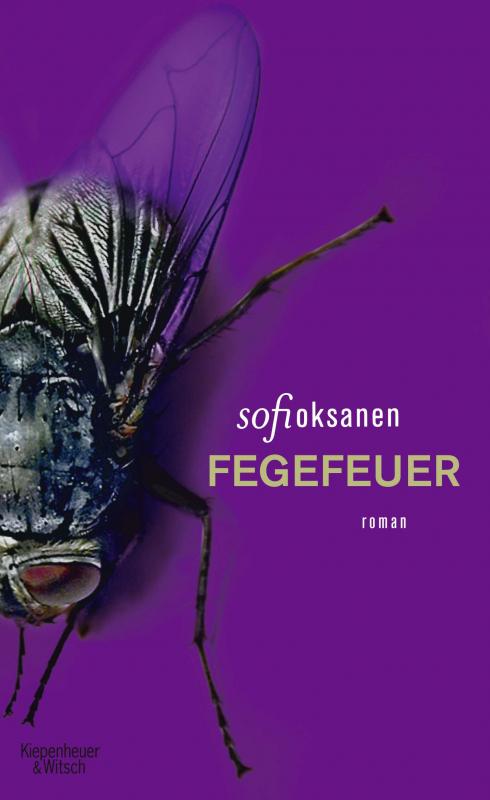 Cover-Bild Fegefeuer