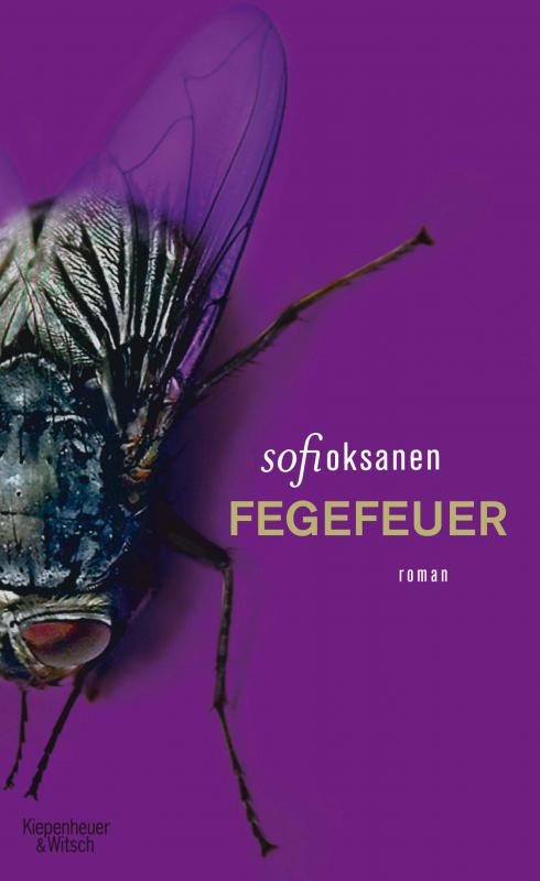 Cover-Bild Fegefeuer