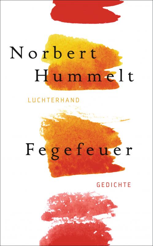 Cover-Bild Fegefeuer