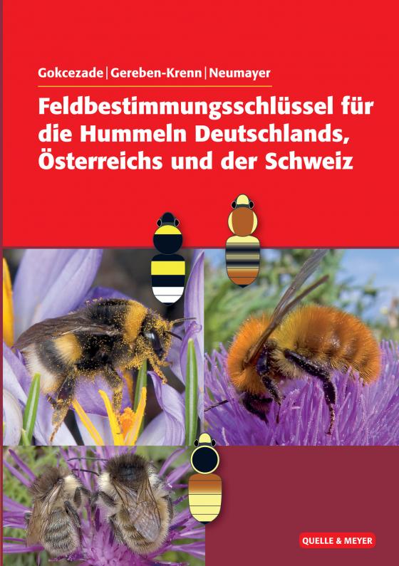 Cover-Bild Feldbestimmungsschlüssel für die Hummeln Deutschlands, Österreichs und der Schweiz