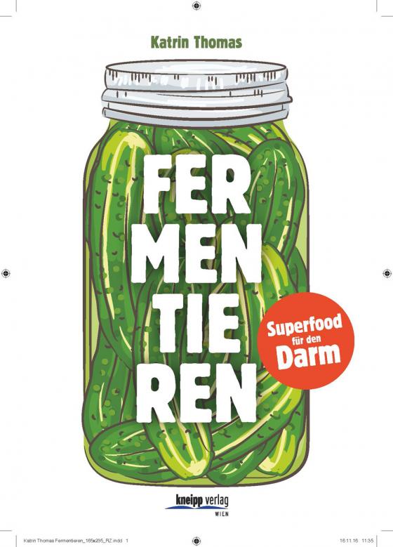 Cover-Bild Fermentieren