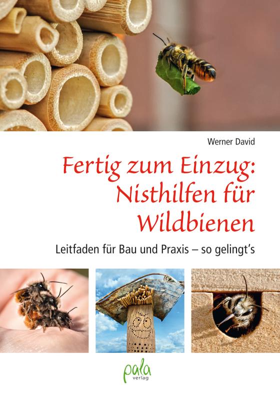 Cover-Bild Fertig zum Einzug: Nisthilfen für Wildbienen