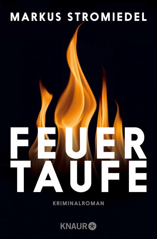 Cover-Bild Feuertaufe