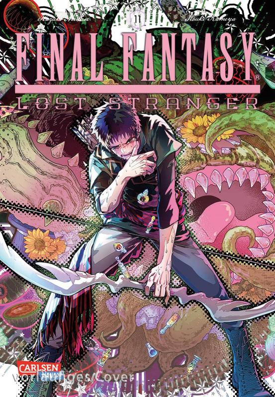 Cover-Bild Final Fantasy − Lost Stranger 11