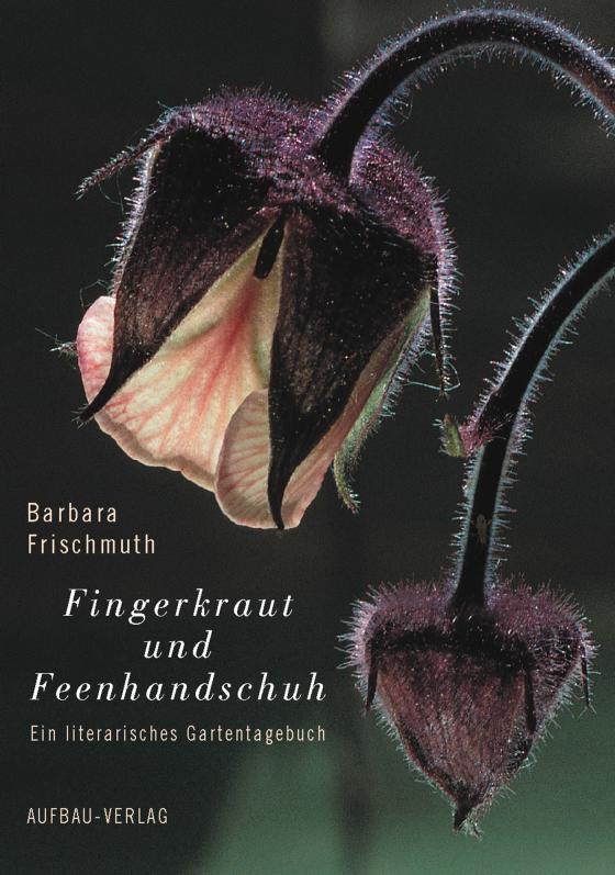 Cover-Bild Fingerkraut und Feenhandschuh