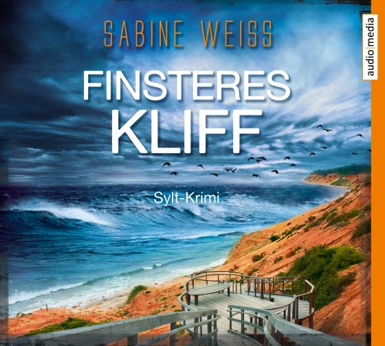 Cover-Bild Finsteres Kliff