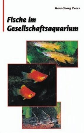 Cover-Bild Fische im Gesellschaftsquarium