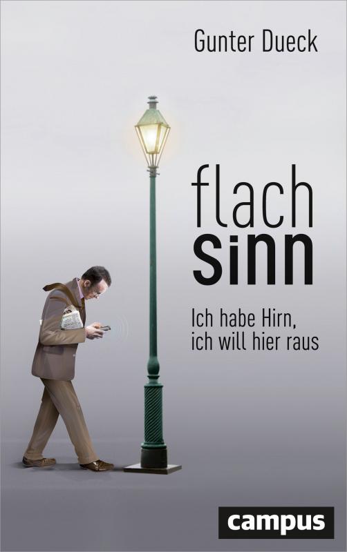 Cover-Bild Flachsinn