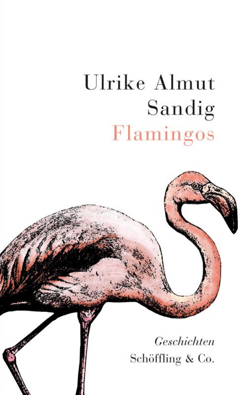 Cover-Bild Flamingos