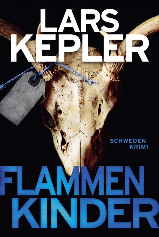 Cover-Bild Flammenkinder