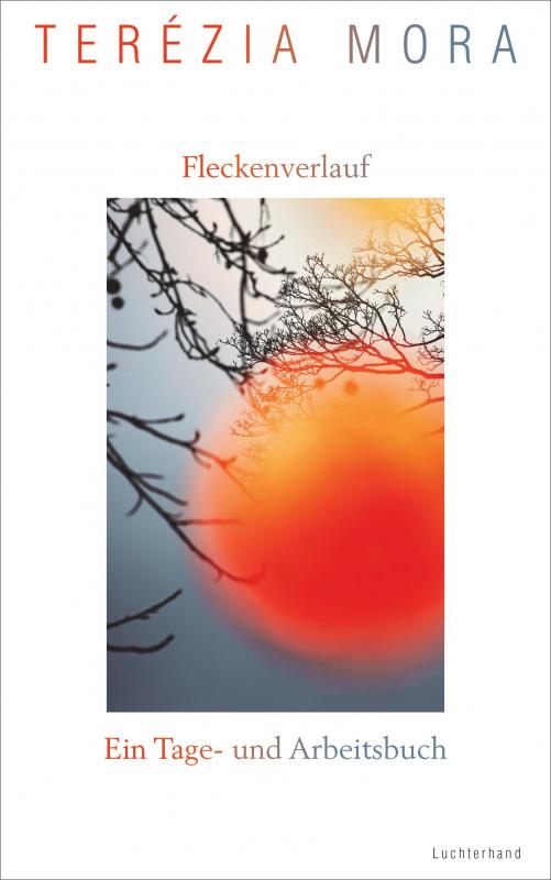 Cover-Bild Fleckenverlauf