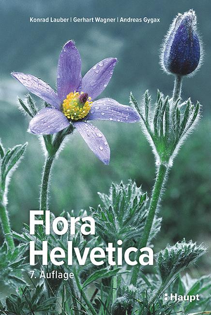 Cover-Bild Flora Helvetica - Illustrierte Flora der Schweiz