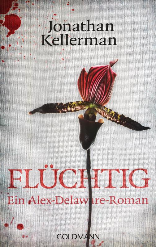 Cover-Bild Flüchtig