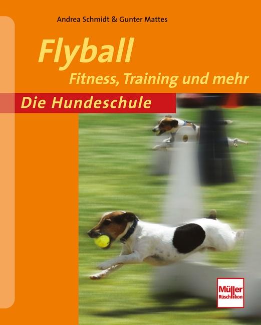 Cover-Bild Flyball