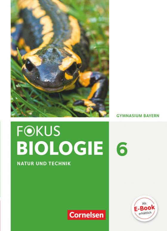 Cover-Bild Fokus Biologie - Neubearbeitung - Gymnasium Bayern - 6. Jahrgangsstufe