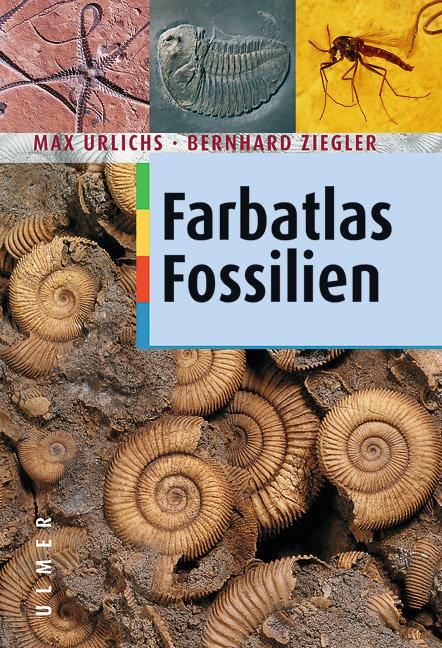 Cover-Bild Fossilien