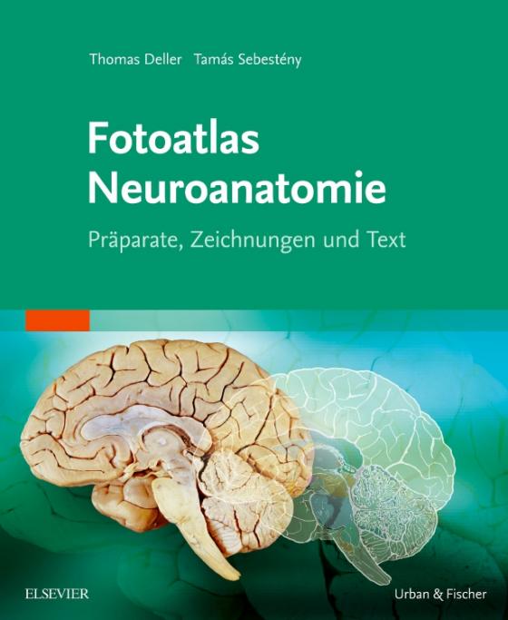 Cover-Bild Fotoatlas Neuroanatomie