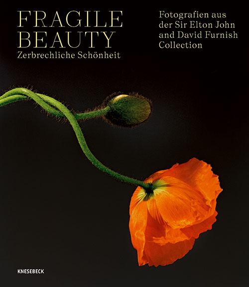 Cover-Bild Fragile Beauty – zerbrechliche Schönheit