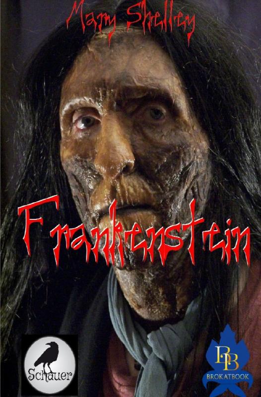 Cover-Bild Frankenstein(Illustriert)