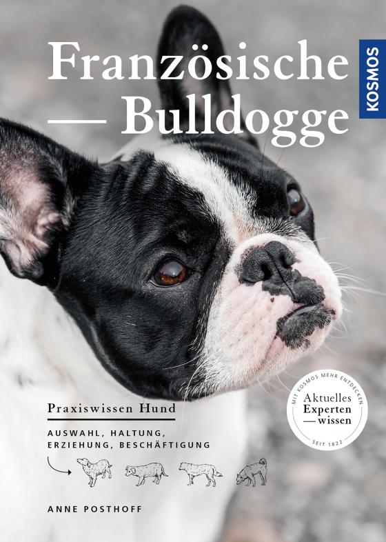 Cover-Bild Französische Bulldogge