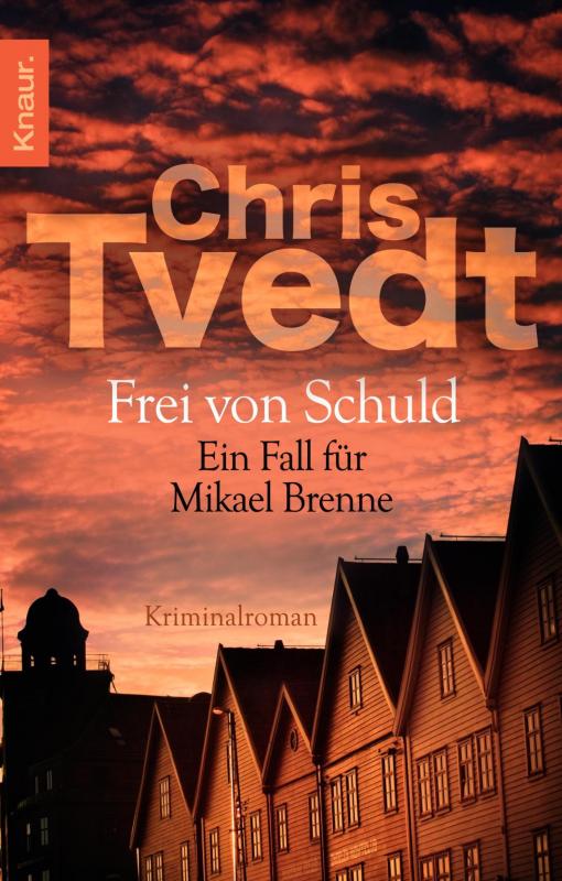 Cover-Bild Frei von Schuld