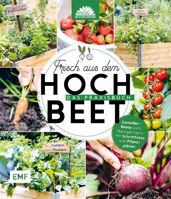 Cover-Bild Frisch aus dem Hochbeet – Das Praxisbuch