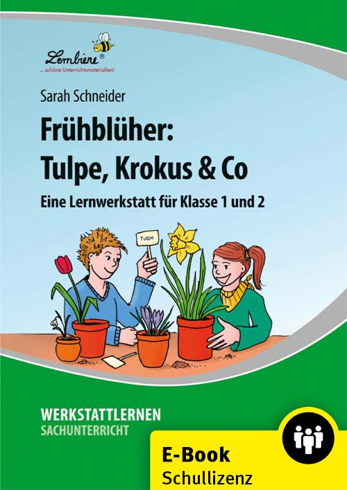 Cover-Bild Frühblüher: Tulpe, Krokus & Co